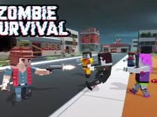 Zombies Survival